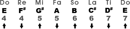 Major Scale in the Key of E